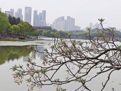-月湖风景区