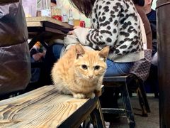 -晓靖轩烧烤(沙河风情店)
