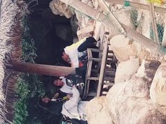 -珊瑚岛
