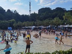 -重庆海昌加勒比海水世界