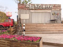 -田园东方蜜桃村的田野营地