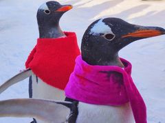 -波塞冬旅游度假区