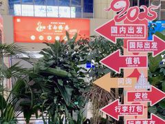 -德宏芒市国际机场