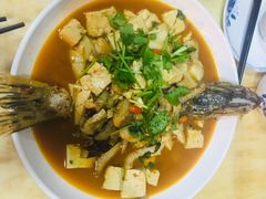 -煲来饱去冷水鱼