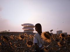 -光明小镇欢乐田园