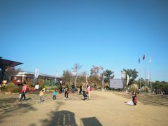 -上海长兴岛郊野公园