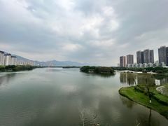 -飞来湖湿地公园