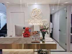 门面-La Rose·轻奢皮肤管理