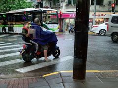 -WHEN PIGS FLY当猪飞