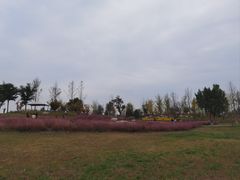 -汉长安城未央宫国家考古遗址公园