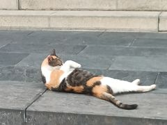 -长春观
