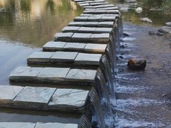 -白河湾生态旅游一条川