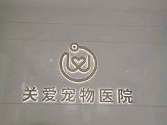 -关爱宠物医院·猫科中心·消化科(滨湖万达分院)