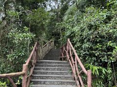 -海南热带雨林国家公园吊罗山景区