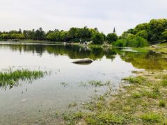 -美兰湖景区