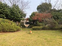 -桃花岛景观公园