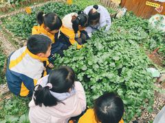 -苏州市公园路幼儿园