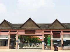 -上海都市菜园