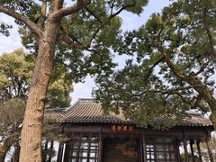 -西湖游船