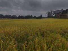 -中国天府农业博览园