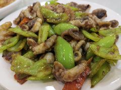 尖椒炒八爪鱼-宝发园名菜馆