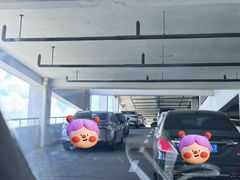 -上海新国际博览中心-P1立体停车场