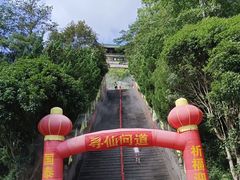 -姑婆山旅游区