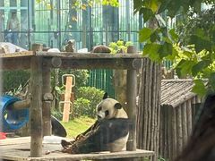 -大连森林动物园