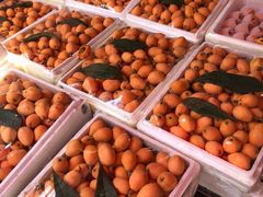 -城南综合水果批发市场(花园路店)