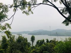 -天目湖涵田半山温泉
