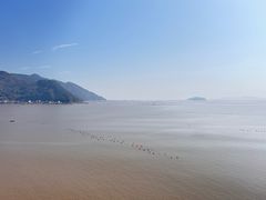 -北岐滩涂