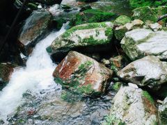 -九龙潭景区