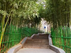 -西安市长乐公园