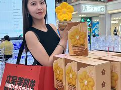-红星美凯龙北京至尊MALL(东四环中路店)
