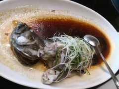 清蒸老虎斑-东江海鲜酒家(艺都分店)