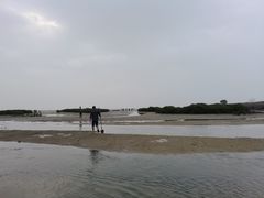 -红树林天天赶海