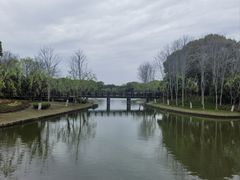 -上海鲜花港