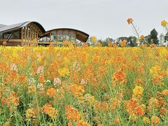 -中国天府农业博览园