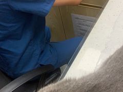 -芭比堂动物医院·24小时·眼科中心(深圳中心)