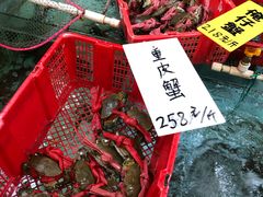 -寻味顺德·南记酒家·传统顺德菜·鱼生(广源路店)