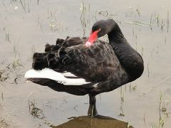 -天津东丽湖风景区