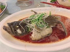 清蒸老虎斑-南园酒家(前进路店)