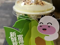 -一只酸奶牛(春熙路店)