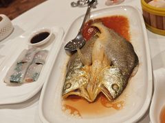 -醉辉皇原味海鲜江南菜(成都大魔方店)