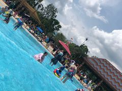 -美的鹭湖探索王国