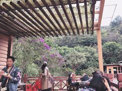 -云溪植物园