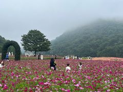 -广州市石门国家森林公园