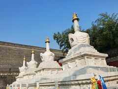 -西安市广仁寺