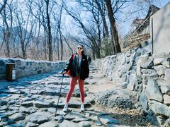 -阳台山自然风景区