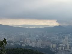 -长虫山生态公园风景林